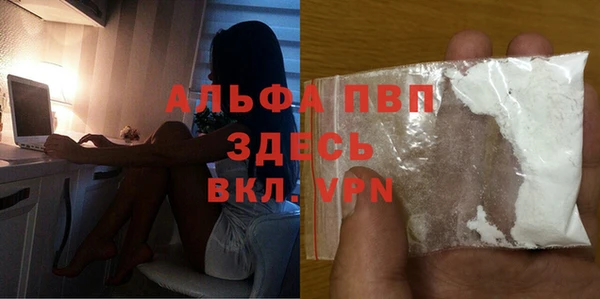 дживик Арсеньев
