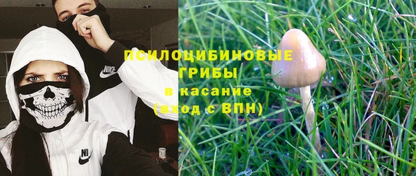 сатива Аркадак