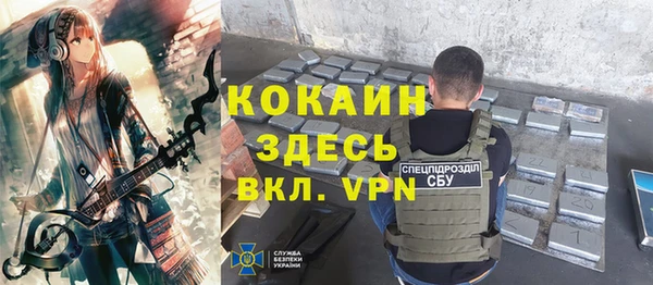 дживик Арсеньев