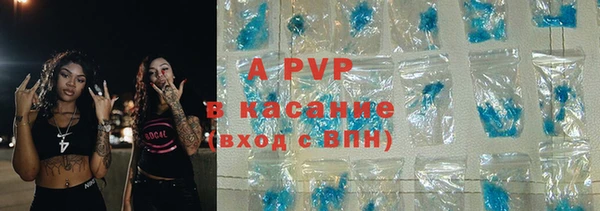 сатива Аркадак