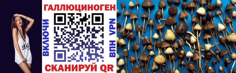 Псилоцибиновые грибы ЛСД  кракен маркетплейс  Починок 